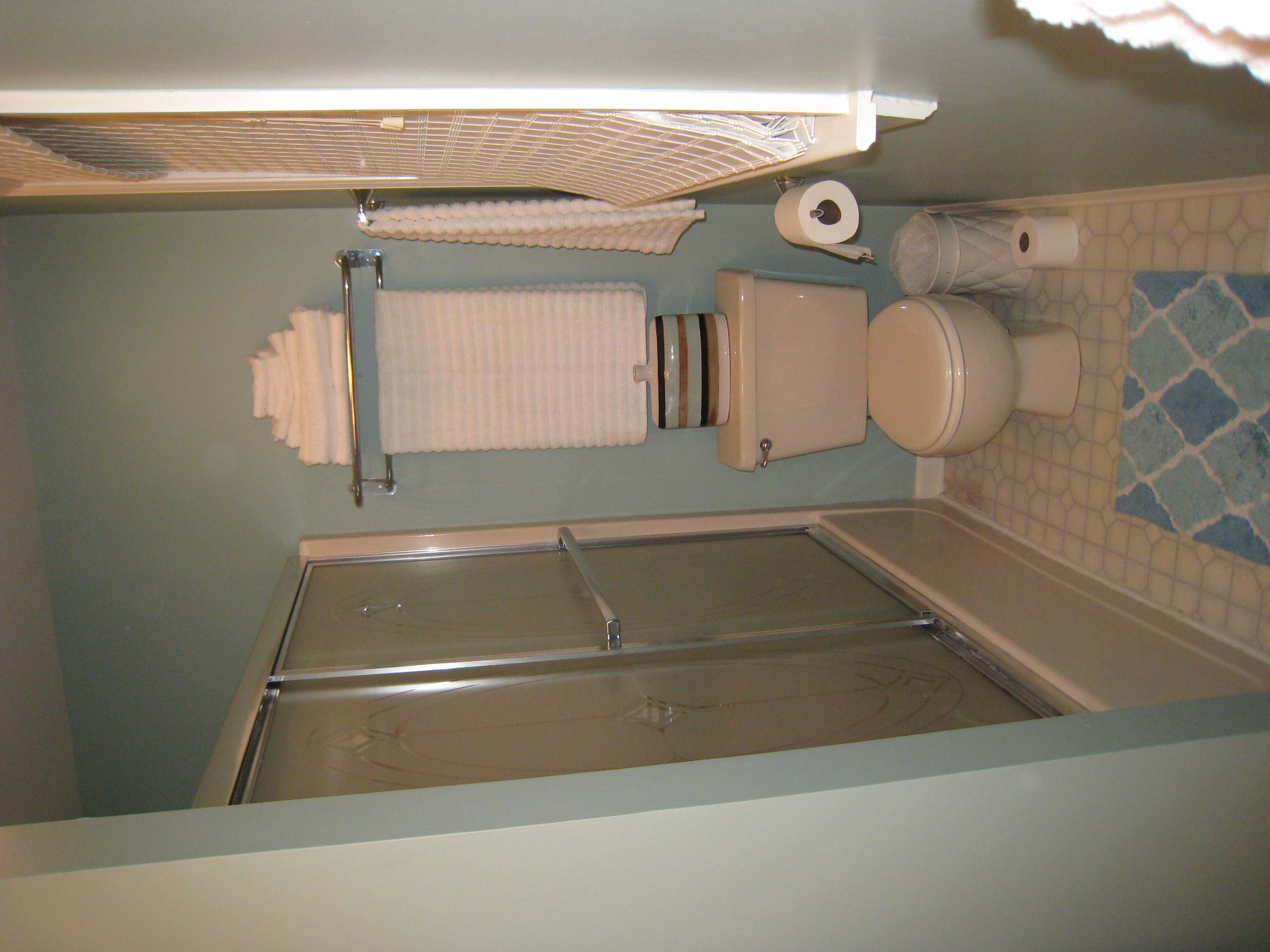 Downstairs Master Bath 2