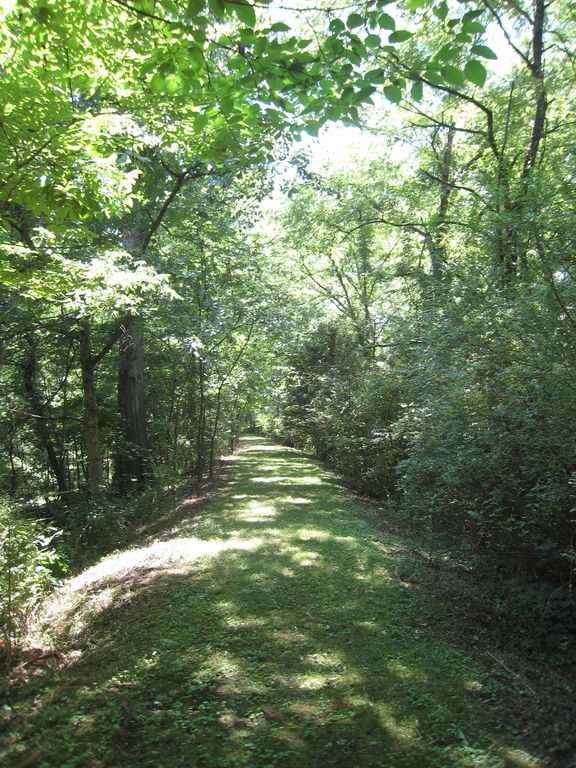 Trail