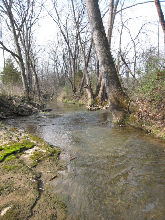 Creek3